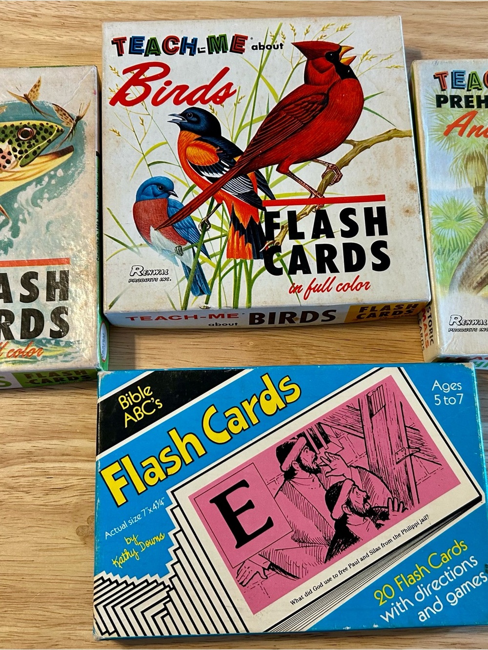 VINTAGE 1962 "TEACH-ME" NATURE FLASHCARD BUNDLE (FREE BONUS INCLUDED!)